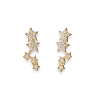 Thumbnail for 14 Karat Gold Plated CZ Star Cluster Earrings