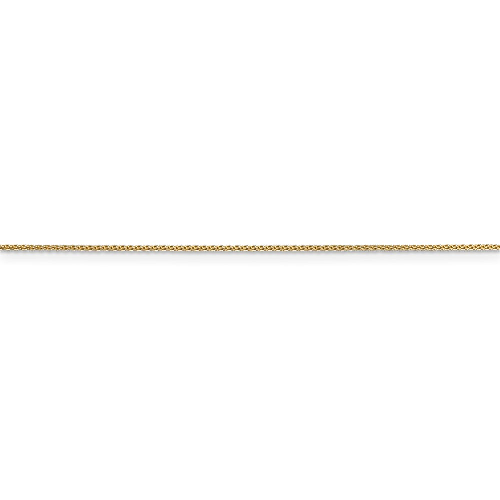 14k .65mm D/C Spiga with Lobster Clasp Chain