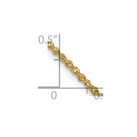 Thumbnail for 14K 1.7mm Ropa Chain