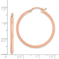Thumbnail for 14K Polished Hoop Earrings