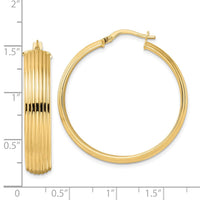 Thumbnail for 14K Polished  Textured Hoop Earrings