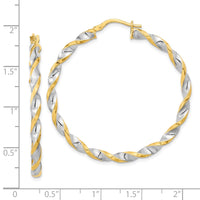 Thumbnail for 14K & White Rhodium Polished & Twist Hoop Earrings