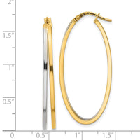 Thumbnail for 14K Two-tone Polished Oval Double Hoop Earrings