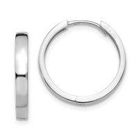 Thumbnail for 14k White Gold Hinged Earrings